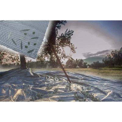 Ελαιόπανα 6*12m πυκνότητα:...