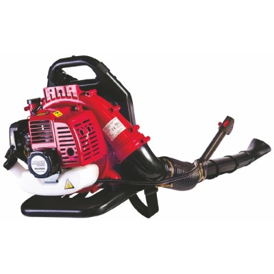 RAIDER Φυσητήρας...