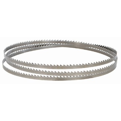 RAIDER Πριονοκορδέλα...